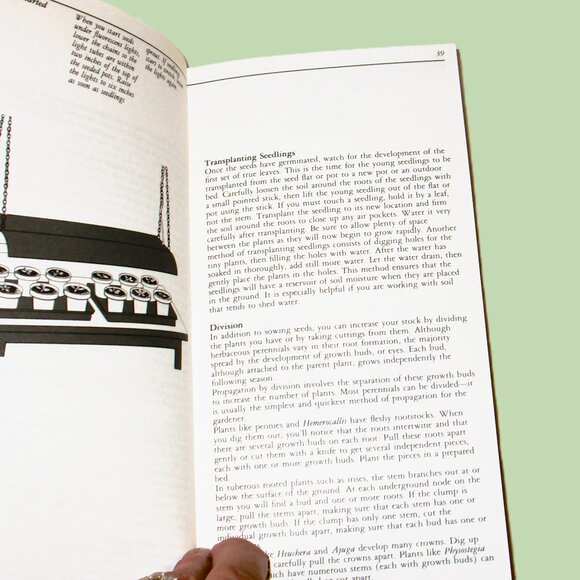 Taylor's Guide to Perennials, The Best of the gardner's favorite plants,with 417 - Picture 6 of 12